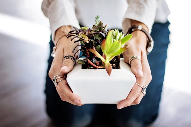 Indoor Gardening Hacks