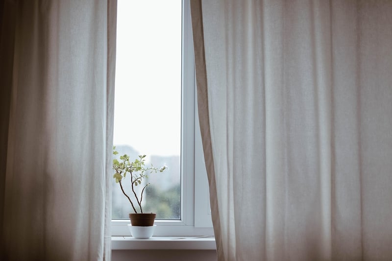 Indoor Gardening